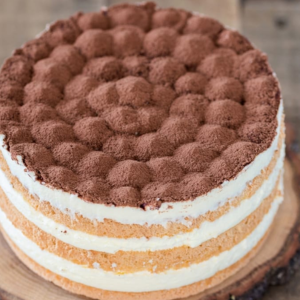 "A decadent slice of tiramisu, with layers of coffee-soaked ladyfingers, creamy mascarpone filling, and a dusting of cocoa powder on top